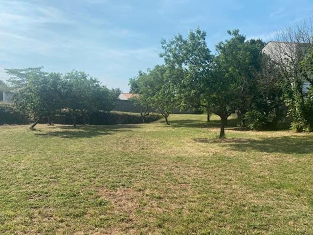 Vente Terrain 1184 m2 Saint Agnant
