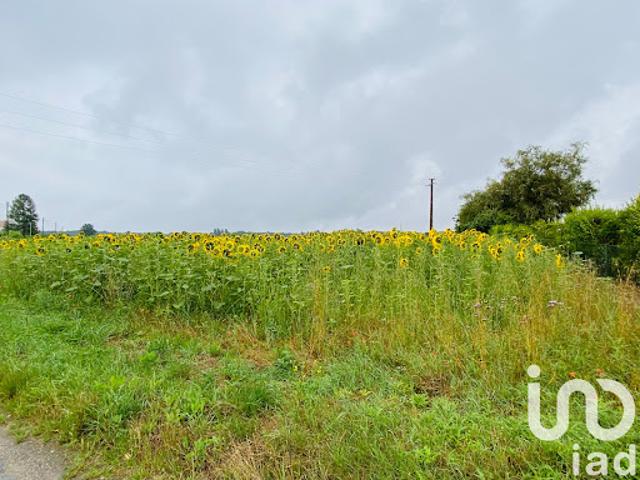 Vente Terrain 1191 m2 Acheres la foret