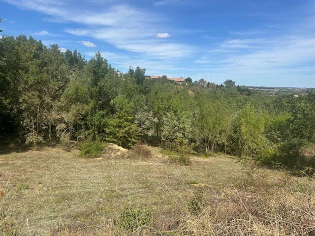 Vente Terrain 1193 m2 Gardouch