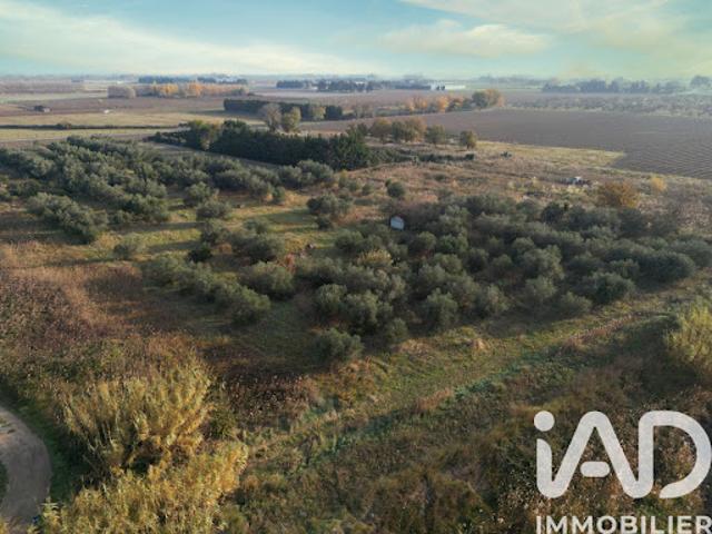 Vente Terrain 11946 m2 Pia