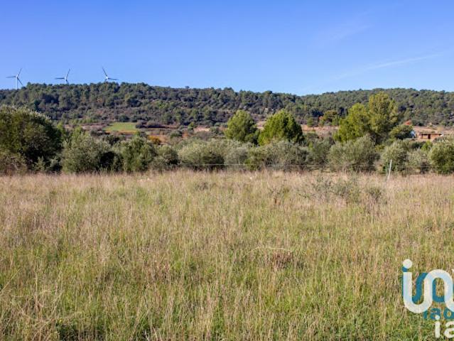 Vente Terrain 1194 m2 Mailhac