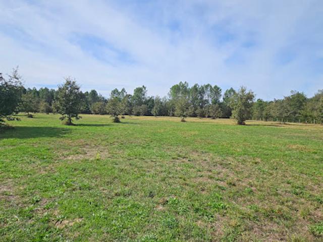 Vente Terrain 11969 m2 Cachen
