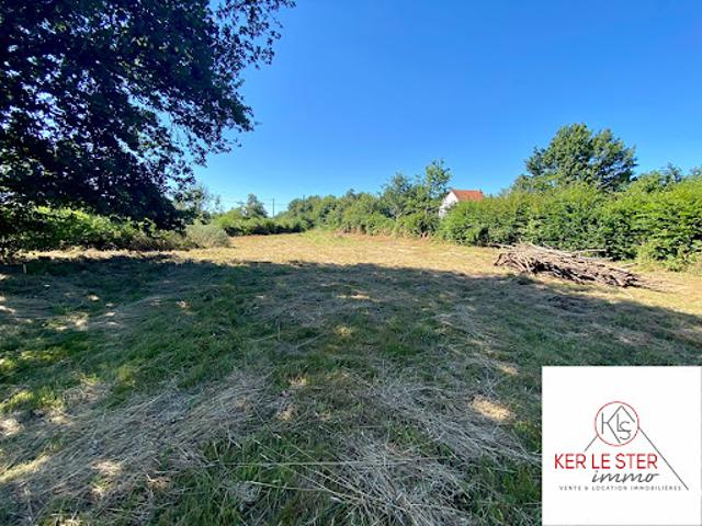 Vente Terrain 1196 m2 Guer