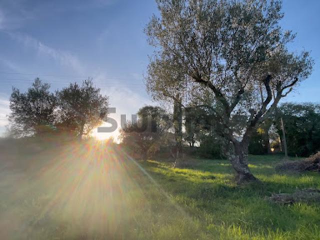 Vente Terrain 1200 m2 Collias