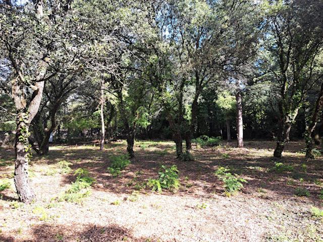 Vente Terrain 1200 m2 Cabrières d'Avignon