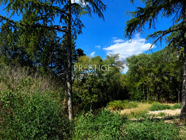 Vente Terrain 1200 m2 Castelnau le Lez