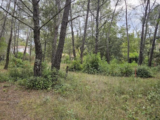Vente Terrain 1200 m2 Bagnols en Forêt