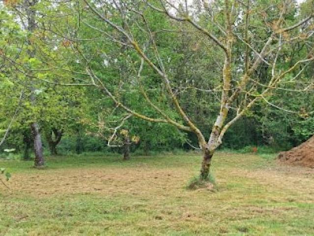 Vente Terrain 1200 m2 Brax