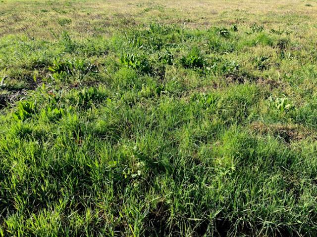 Vente Terrain 1200 m2 Ecurat