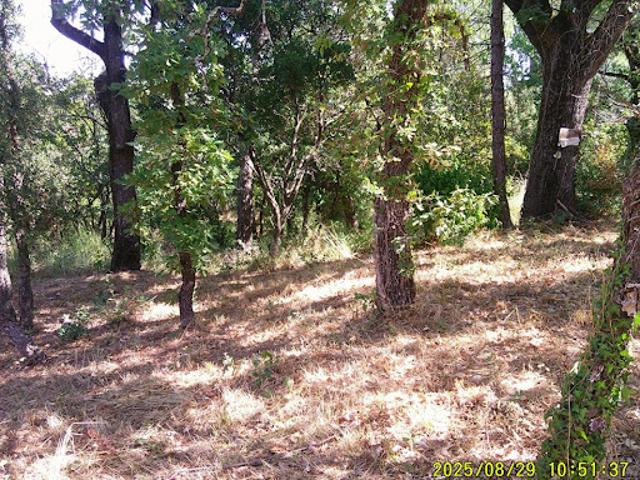 Vente Terrain 1200 m2 Les Mayons