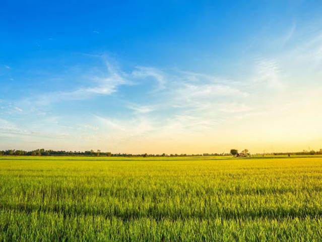 Vente Terrain 1200 m2 Mesland
