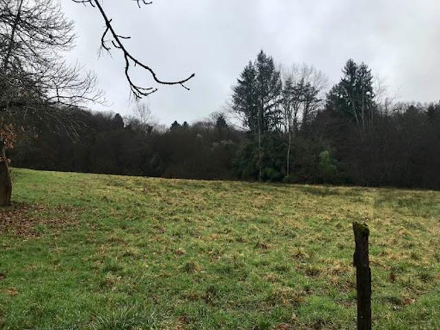 Vente Terrain 1200 m2 Saint Sornin Lavolps