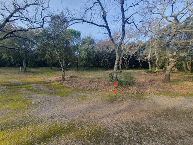 Vente Terrain 1200 m2 Saint Siffret