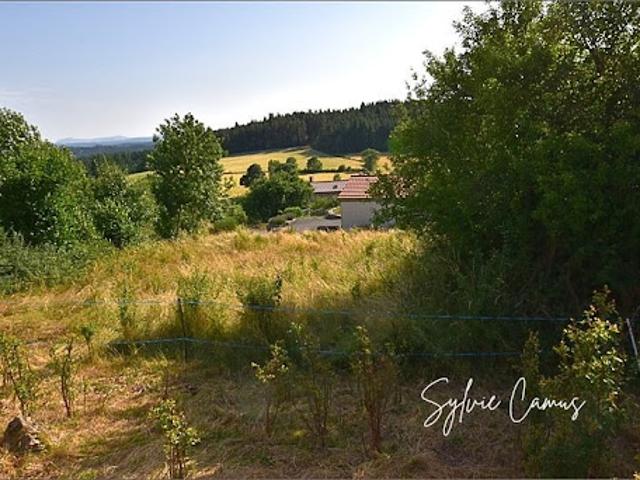 Vente Terrain 1200 m2 Saint Pal de Mons