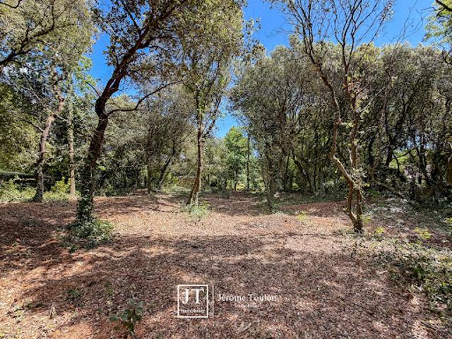 Vente Terrain 1200 m2 Saint Palais sur Mer