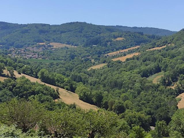 Vente Terrain 1200 m2 Saint Pierre la Palud