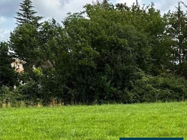 Vente Terrain 1200 m2 Pineuilh