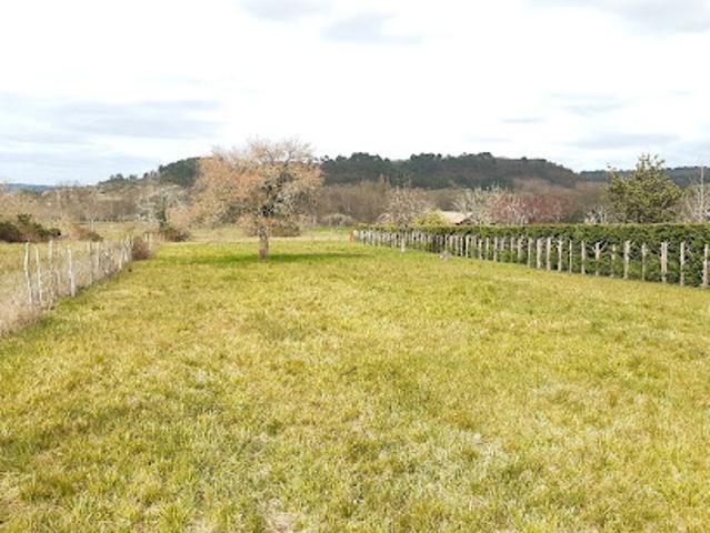 Vente Terrain 1200 m2 Vallereuil