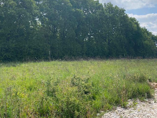 Vente Terrain 1201 m2 Celle Lévescault