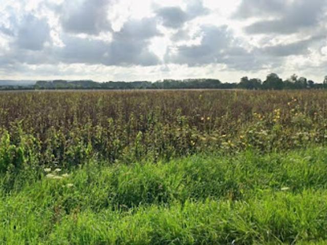 Vente Terrain 1202 m2 Gonneville en Auge