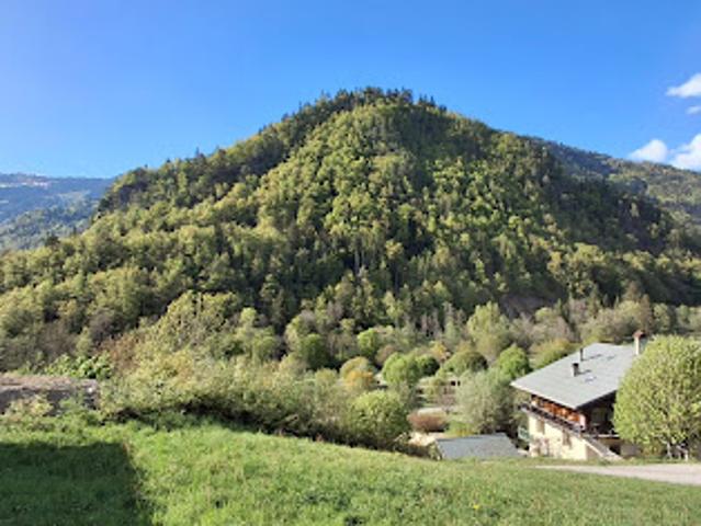 Vente Terrain 1205 m2 Beaufort Sur Doron