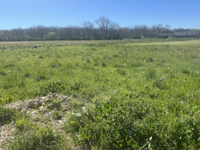 Vente Terrain 1205 m2 Lacourt Saint Pierre