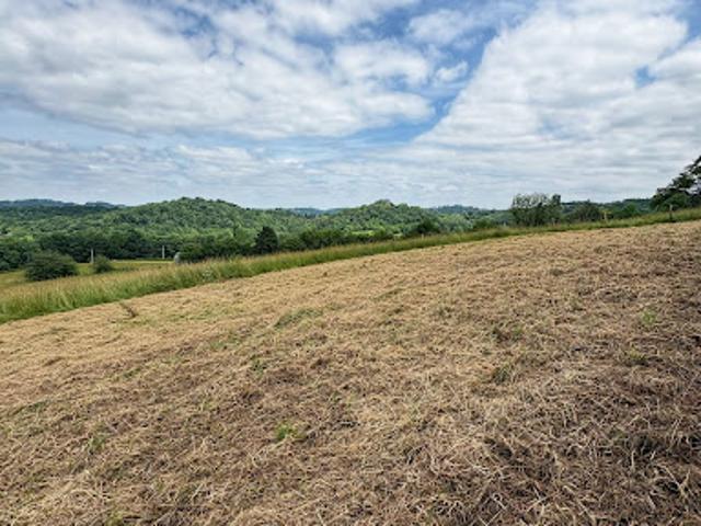 Vente Terrain 1215 m2 Gan