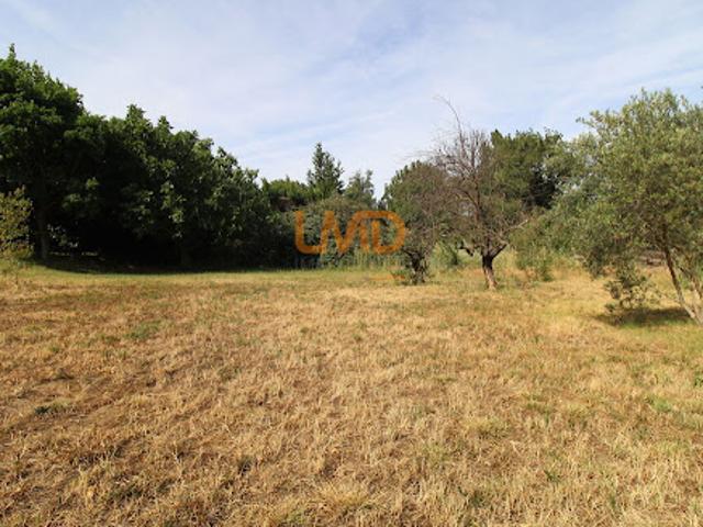 Vente Terrain 1220 m2 Rodès