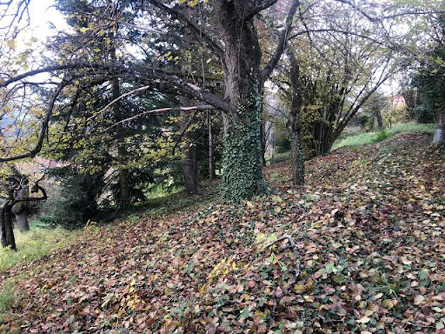 Vente Terrain 1223 m2 Bourg de Thizy