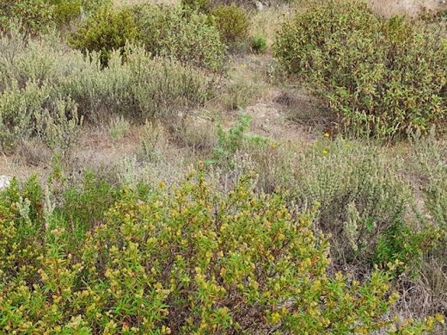 Vente Terrain 1223 m2 Théza