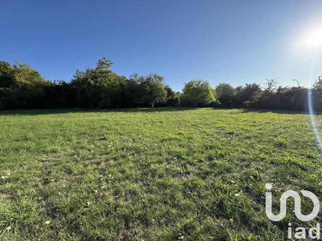 Vente Terrain 1224 m2 Chinon