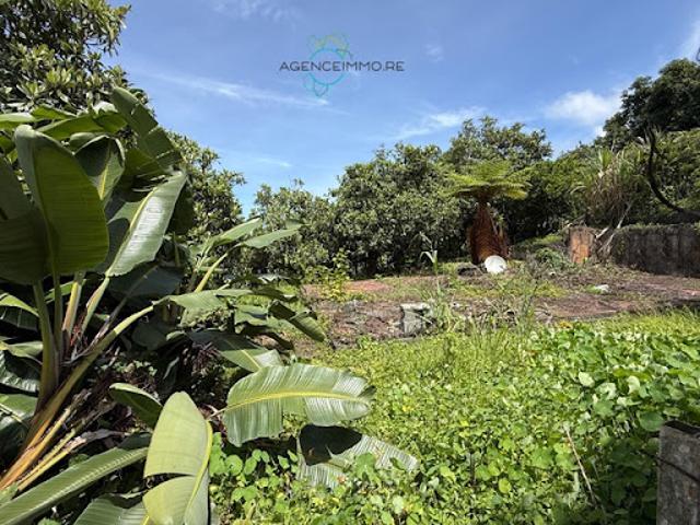 Vente Terrain 1224 m2 Saint gilles les hauts