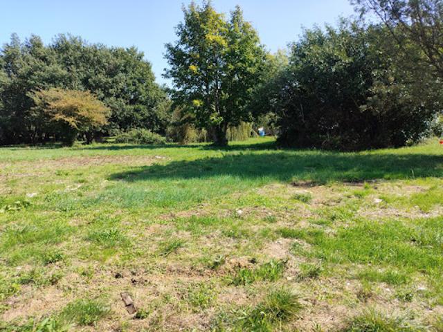 Vente Terrain 1227 m2 Tesson