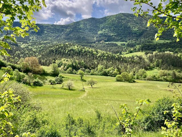 Vente Terrain 12283 m2 Val de Chalvagne