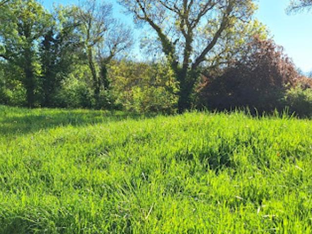 Vente Terrain 1230 m2 Fontenilles