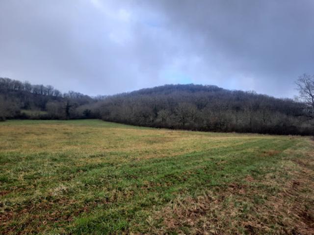 Vente Terrain 1234 m2 Loubressac