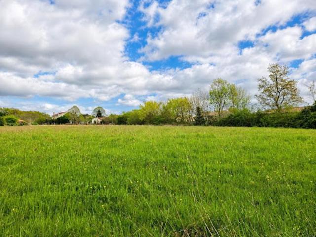 Vente Terrain 1235 m2 Lesparre Médoc