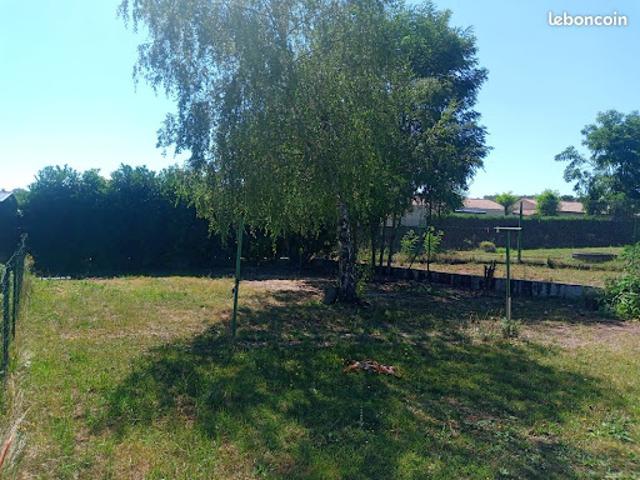 Vente Terrain 1236 m2 Tercé