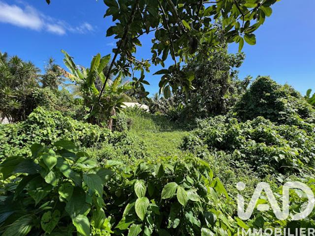 Vente Terrain 1240 m2 Capesterre Belle Eau