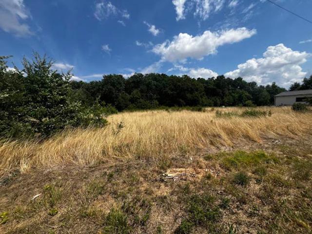 Vente Terrain 12447 m2 Chaunac