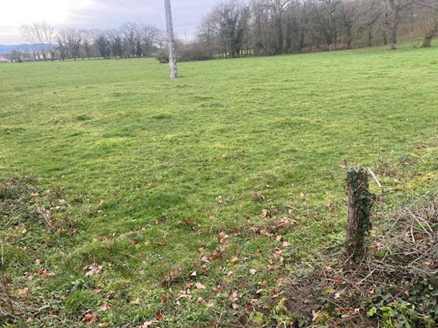 Vente Terrain 1247 m2 Saint Priest Bramefant