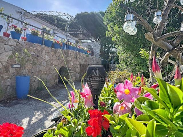 Vente Terrain 1250 m2 Calvi