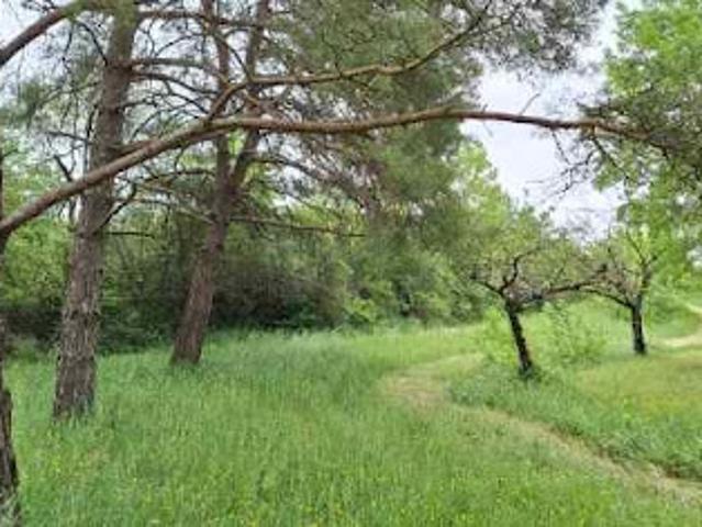 Vente Terrain 1250 m2 Bragayrac