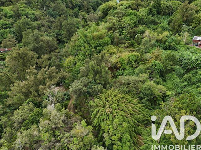 Vente Terrain 1250 m2 Saint Denis