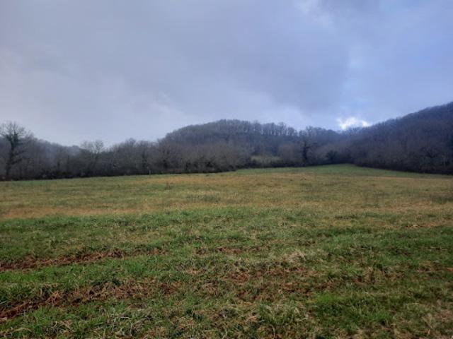 Vente Terrain 1254 m2 Loubressac
