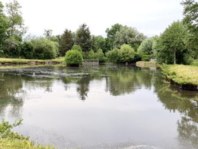 Vente Terrain 12594 m2 Grand Fayt
