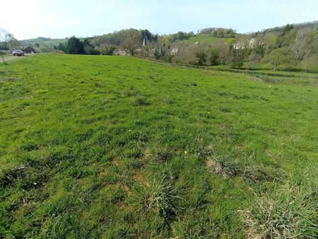 Vente Terrain 1260 m2 Ferrières sur Sichon