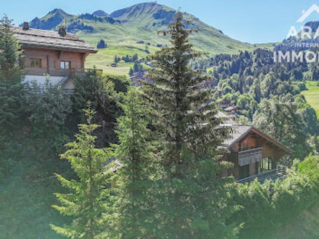 Vente Terrain 1260 m2 Le Grand Bornand