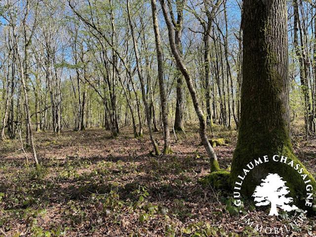 Vente Terrain 126780 m2 Nérondes