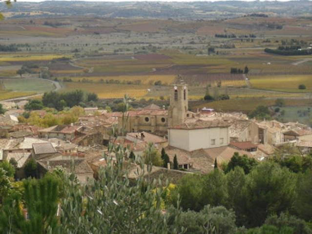 Vente Terrain 1271 m2 Péret